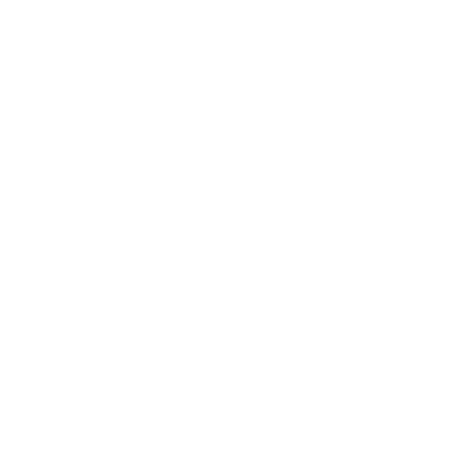 controller