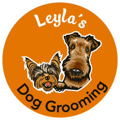 logo_gross_neu_13-03-25_vers21
